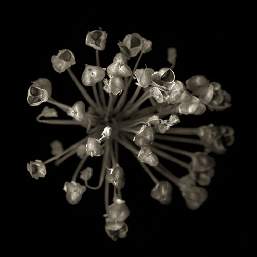 _406-1