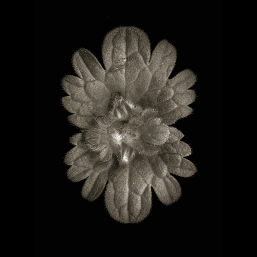 w56_1