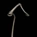 chineseSquash001a