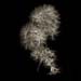 goldenrod008a