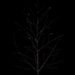 morningglory005a